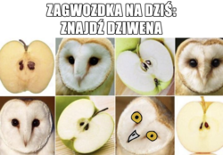 7f742e68-bc5f-4b33-bf80-fde72a9ded5a