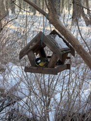 2163b098-12cd-4511-9edd-148f40d64be4