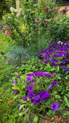 6f7f6ff1-449a-477e-9616-bb444ddd153d