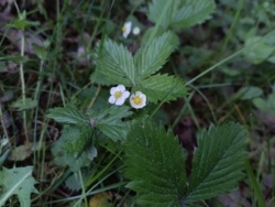 95f432b0-2946-4b5c-9fb3-8962cd1af61c