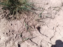 b75f5c52-6df2-4d9b-b3f0-c72c56ec55f0