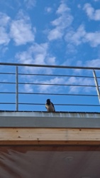 298b14f8-73c5-4b62-b434-e500db312c7f