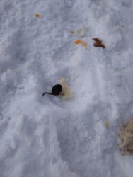 05c5be76-169e-44b4-b2e2-a258be81ea60