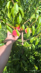 d4ec5447-2bcf-40f5-be97-bbdb40873a91