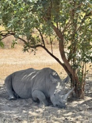 99491c7c-1e3f-4392-abb2-36a2b16a3546