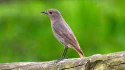 9f585865-9e64-4aec-9d34-19a21fd8a321