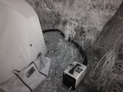 456097c5-9ed9-4f5c-a92a-bd1a3773fea6