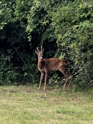 d674f245-a005-4e84-b0bb-0f78e2263ab4