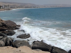 c4d42c6c-1cd5-4ce8-a80d-bd2b032ffd0e