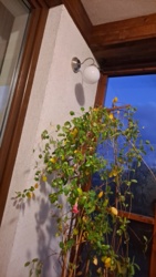 8f66d6b6-2eb2-42d4-a101-8ce0c9956a3d