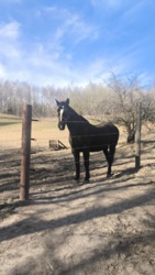 365bd988-b0cb-4eec-aaac-5e85ade536b3