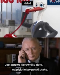 d7fa3c54-7046-4710-ab85-a1e83f9975ad