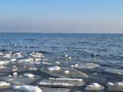 06b0290b-4f2e-49c6-8a3b-a3bdc2b68430