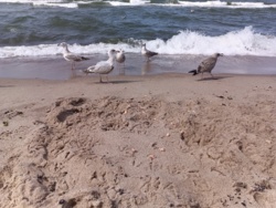 2ea2dd5f-a74c-4d51-94c3-4b58cb34d174