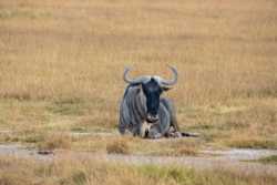 775b7fe5-fc7d-439c-9e84-e0cafc76357b