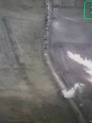 f125a56b-569a-43c9-8925-4b51e7c329cd