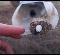 83a30ad8-0c21-48f9-9e3c-35c6ee9d108f