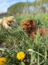 addf2820-b4db-44be-a0a0-ec1e1b4a966d