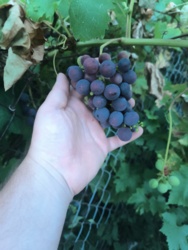 e2fee113-2f15-4d61-b096-b1eb967d4895