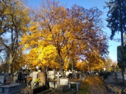 8376cac7-143e-4e98-b159-5a43c4b0b362