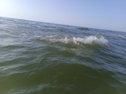 62bf0b4e-3edb-44ef-8e36-49985fca8ce8