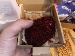 8363ef0b-010c-4c7c-819b-a079ca1c4721