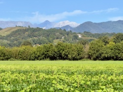 1f4d9a5e-d9e4-4bf6-8153-a6744ba9a507