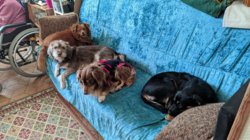 63b94a2c-30cb-4130-a147-4b1d3041adb8