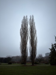 42c43cb2-e634-419f-90d5-5ca7564f87a1