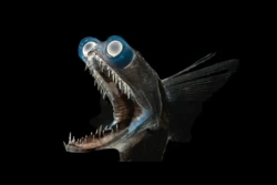 123ff2b7-9fe0-490b-b3a6-b5d391125b86