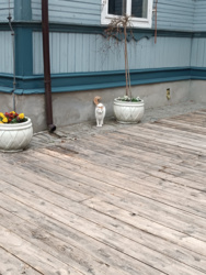 639d9104-0815-4a92-8544-db7473d1f899