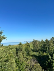 7fe22af8-135f-4054-96a2-45c111d9cbc8