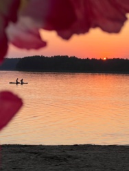 25919907-a9c5-4da1-b859-d2f94736e2f9