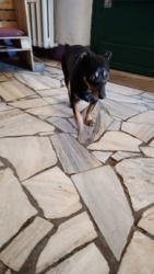 86b0cd67-9366-48f5-a55f-ee3cc7860fc3