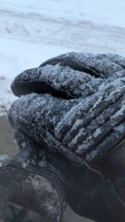 8ceeb0d4-3f77-467d-b023-5dce80c55bdd