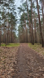 65365457-f0a5-42bb-b6e4-03e63aaa8c54