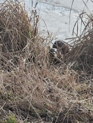 ad865648-fe72-4099-bd02-f6909042474e