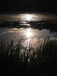 a7cad2e8-f400-4a05-95e1-67e1e8c24d5f