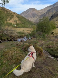 83db8939-5984-4931-862b-3d06734789e8