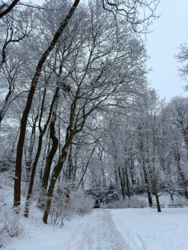 b9f7f812-6397-4996-9e4a-e26ad9452b4b