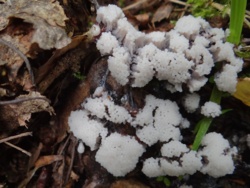 2adfbf27-622b-4f14-b1a9-737b035aece0