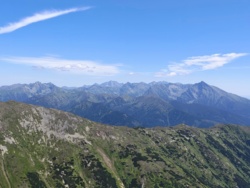 d8a9a90b-f124-434d-a68f-a6bd7aee2a04