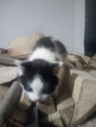 934d3dc5-218a-4ded-a0e0-67132023cb3f