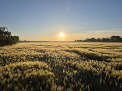 c2d87d15-9f30-4d57-8b01-ac8dd84c0ad3