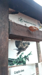 c7676dd1-a6f8-4d8b-a11f-1692a81dca6c