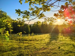 7f52b3c8-1fc1-4103-b3f3-83e367bcd4c2