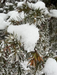 b76afe9e-cc43-4201-bdba-60ec7b5c1508