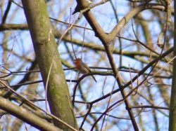 902f881c-3c4e-4eab-9e38-bfbfaeac5289