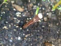 4586bc94-bade-461c-884b-8812c8cdcda2