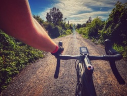 d79c6a28-6b53-442d-8630-a58304aa7524